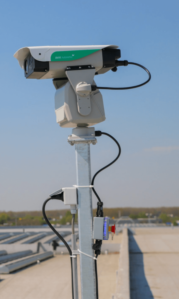 laser para el control de aves