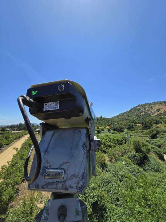 picadura de aves sistemas para evitarlo