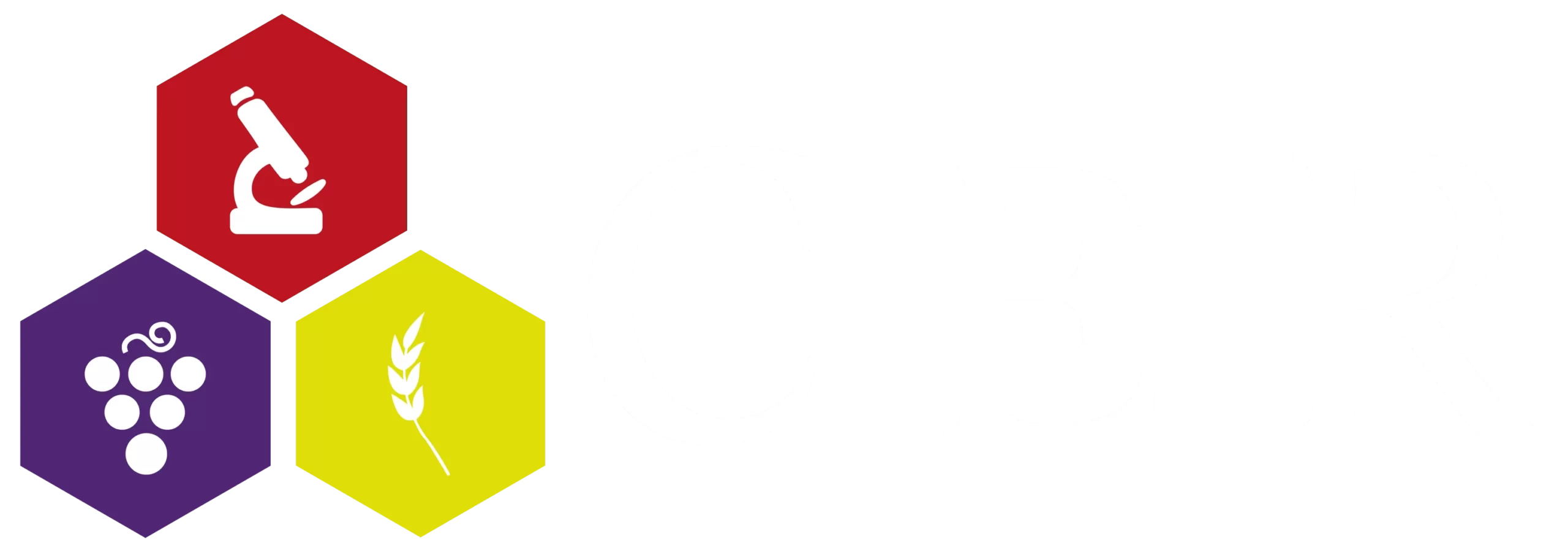 logo-cer-01-scaled.webp