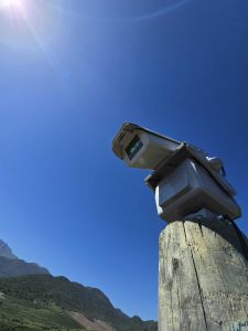 laser para control de aves